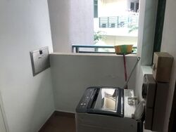 Signature Park (D21), Condominium #587768061